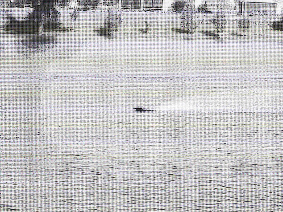 Picture of place